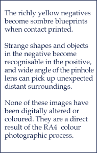 the richly yellow negatives become sombre blueprints when contact printed
