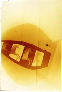 horses pinhole photograph RA4 Process